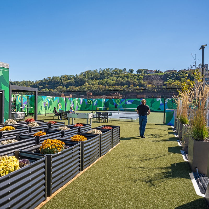 The District Rooftop